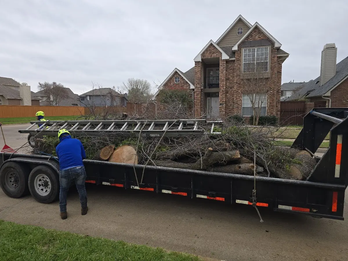 Expert Lot Clearing with proper safety equipment in Jackson Heights
